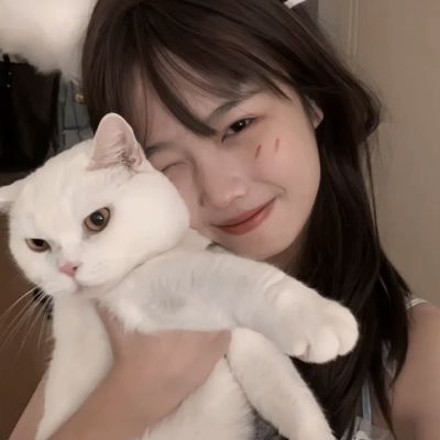 梦幻联盟手游