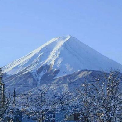欢乐送九游版下载